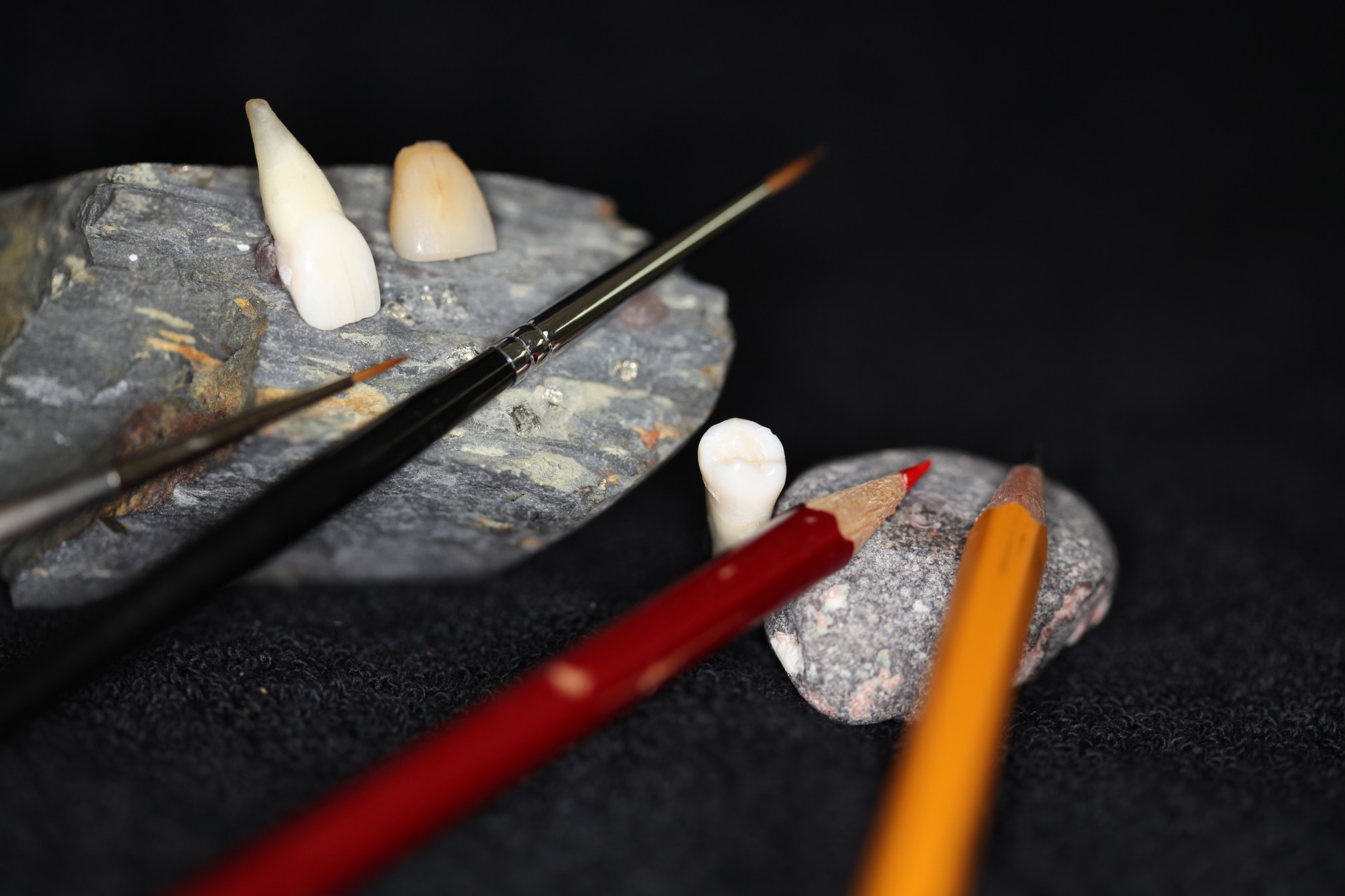 Mueller's Dental Arts Laboratory